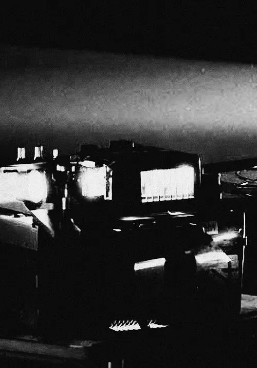 The Projectors